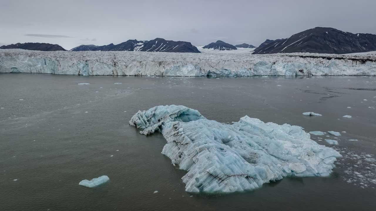 baliklarin yaptigi geometrik desenler kesfedildi k1MBeubm.webp